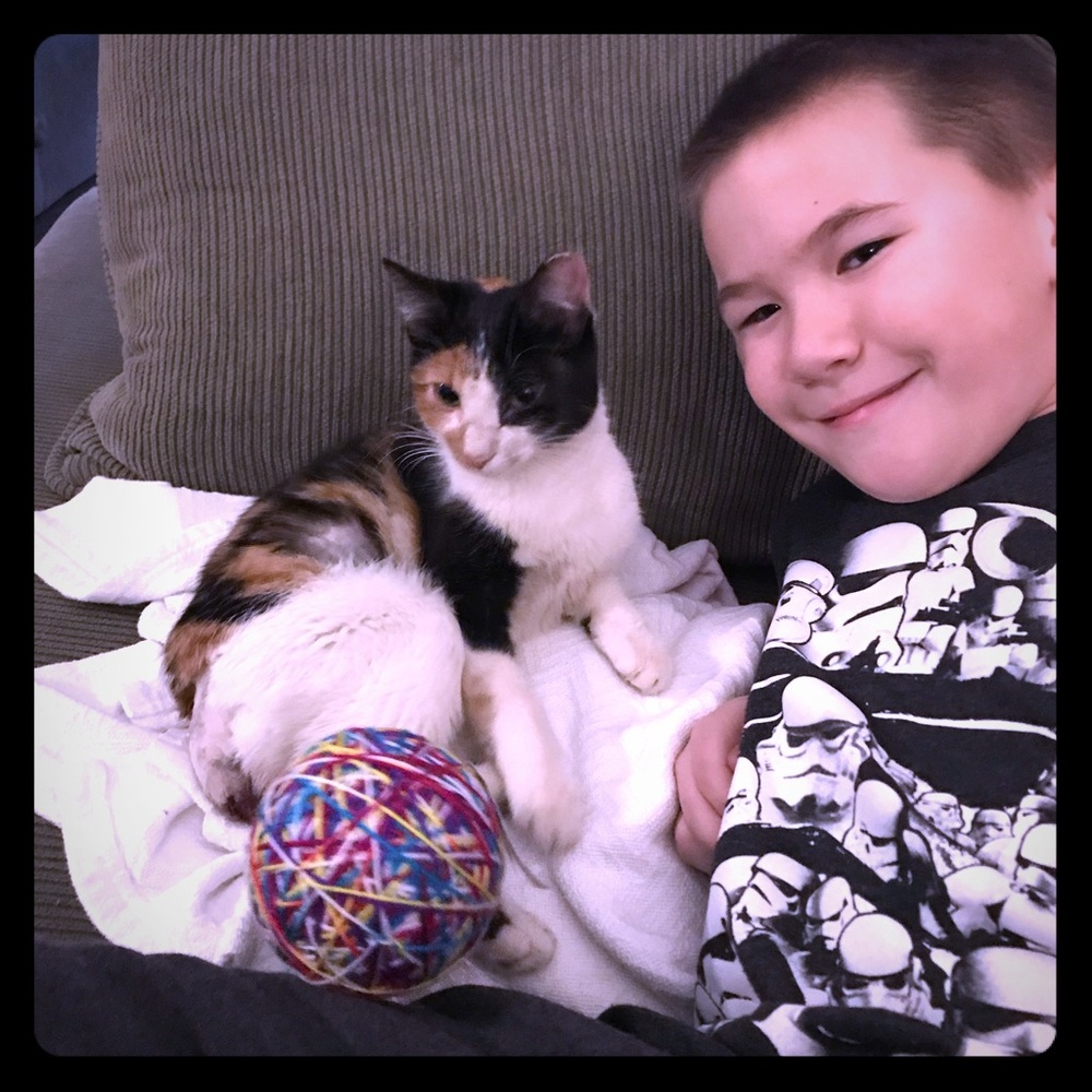 Our Rescue, Hazel Baby ❤️❤️